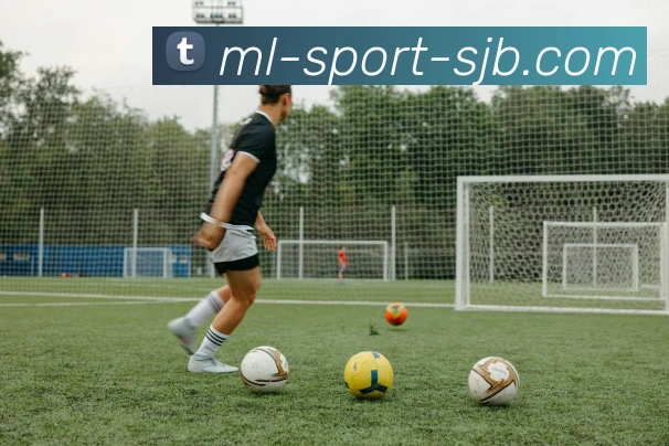 ML体育，ML体育，ML体育官网，ML体育入口，ML体育APP平台生态图