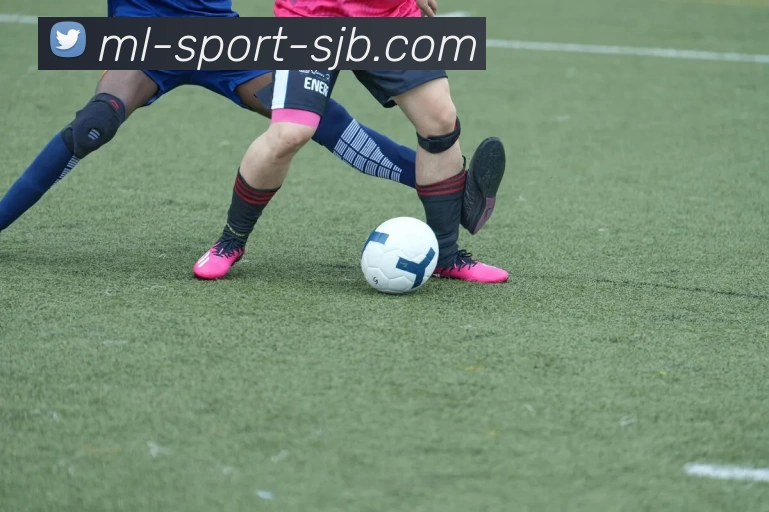 ML体育，ML体育，ML体育官网，ML体育入口，ML体育APPAPP 封面图